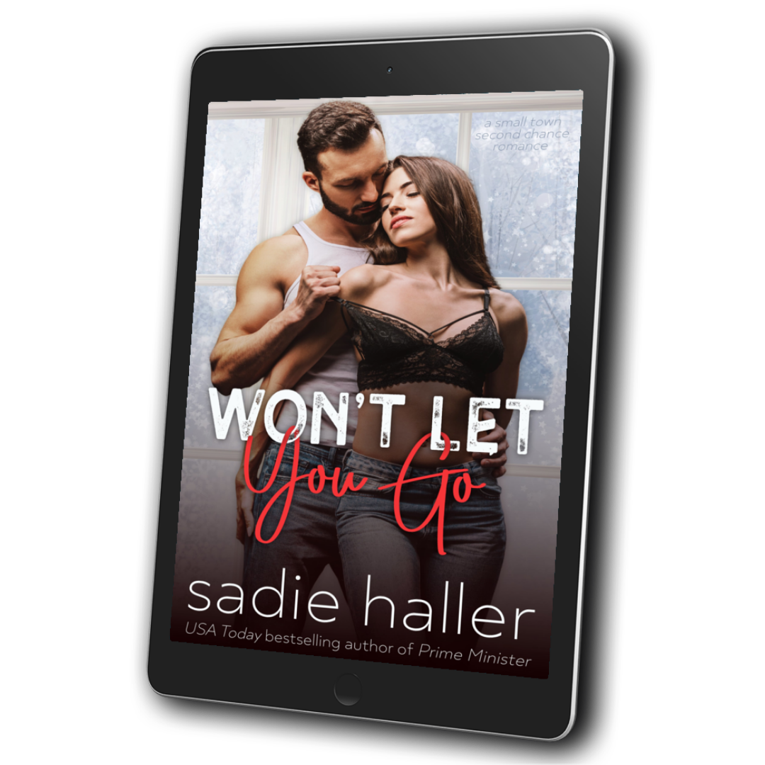 Won't Let You Go (Sin Valley 1) Ebook